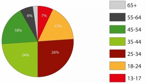 Homepage Statistik 2